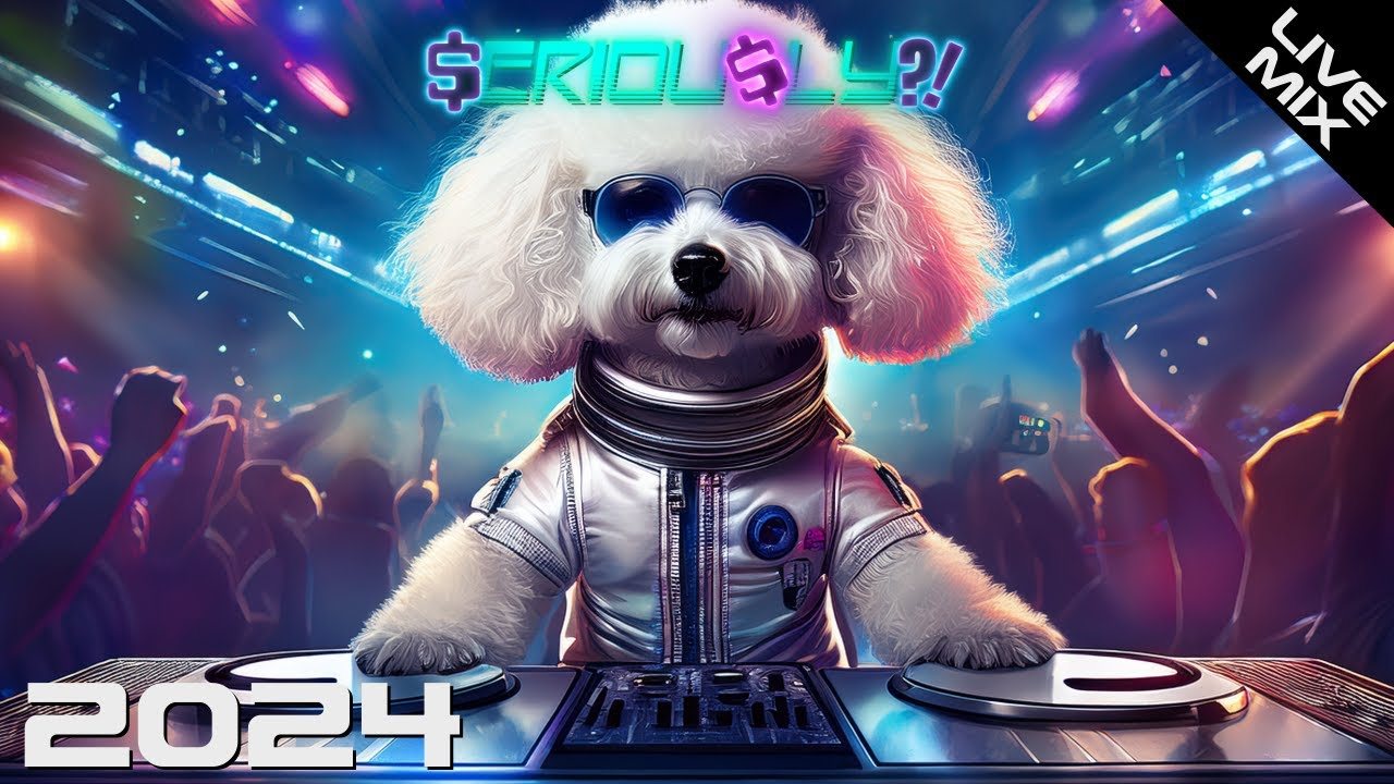 Bass Boosted EDM Mashup Mix cover art